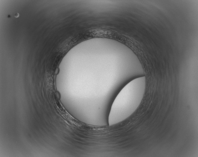 X0000084000753200702160756