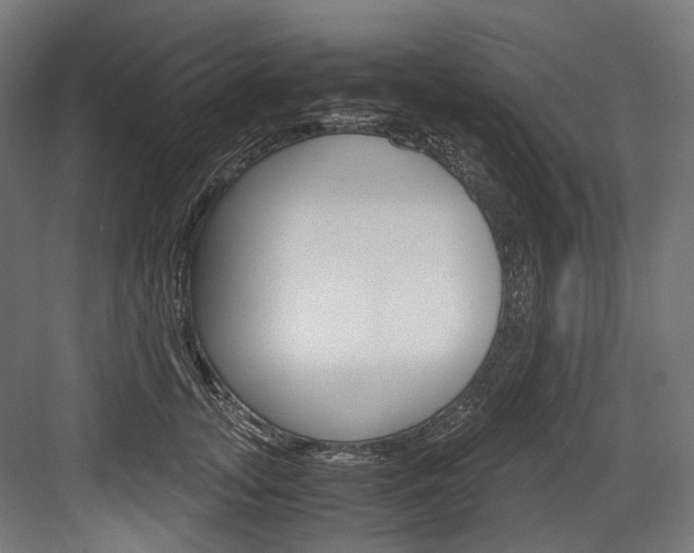 X0000084000755200702160756