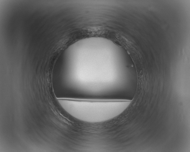 X0000084000756200702160756