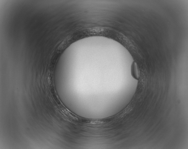 X0000084000758200702160756