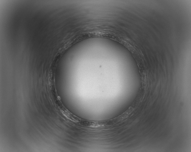 X0000084000760200702160756