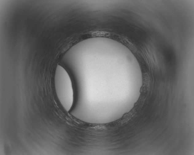 X0000084000761200702160756