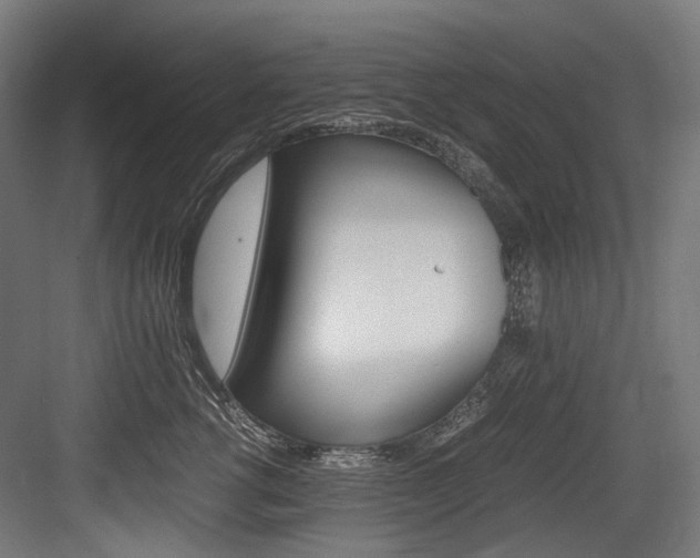 X0000084000762200702160756