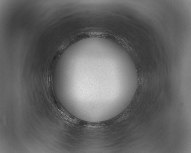 X0000084000763200702160756