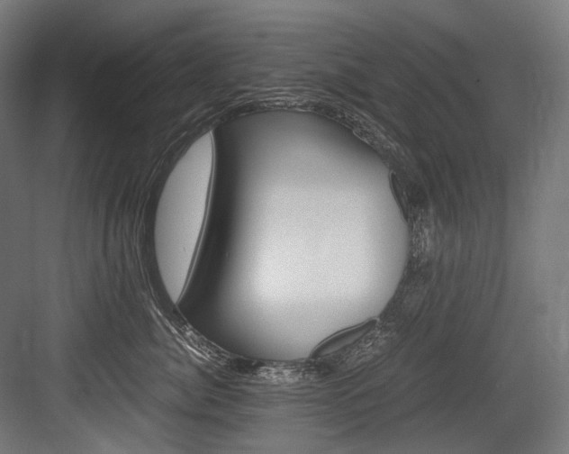X0000084000764200702160756