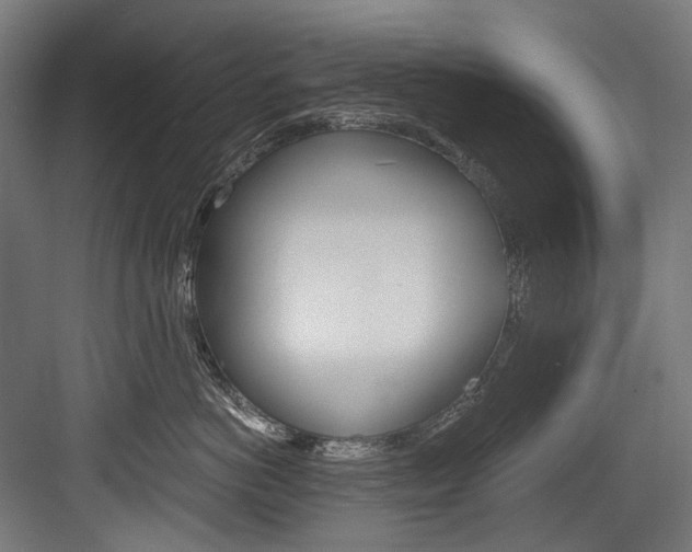 X0000084000766200702160756