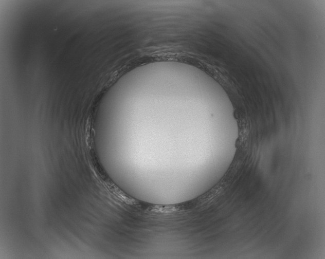 X0000084000767200702160756