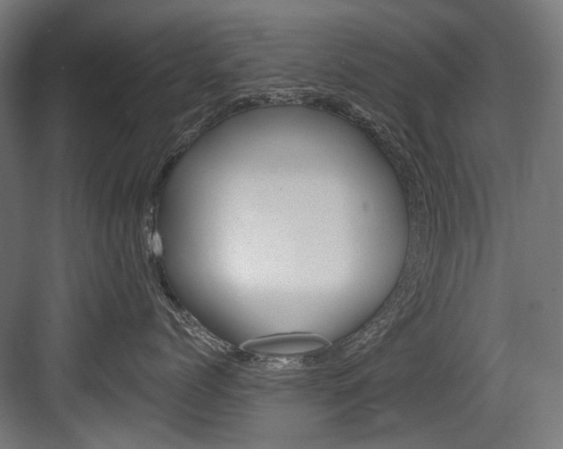 X0000084000768200702160756