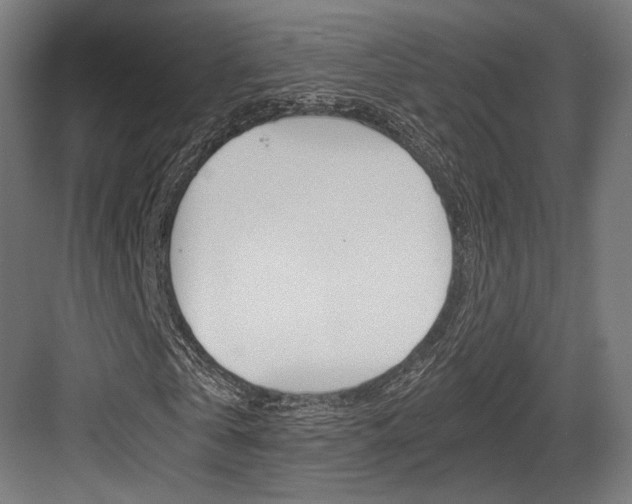 X0000084000769200702160755