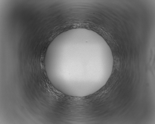 X0000084000770200702160755