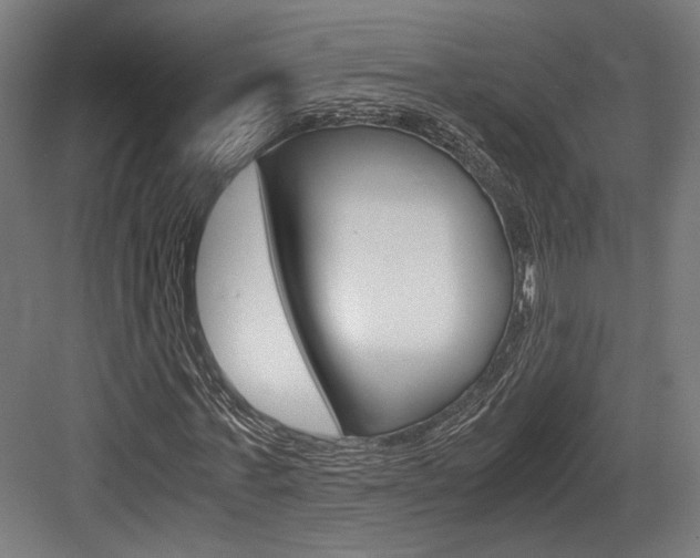 X0000084000771200702160755