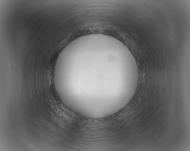 X0000084000772200702160755