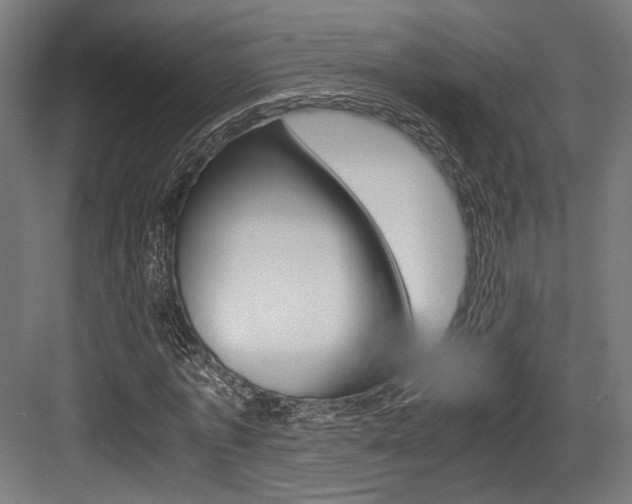 X0000084000773200702160755