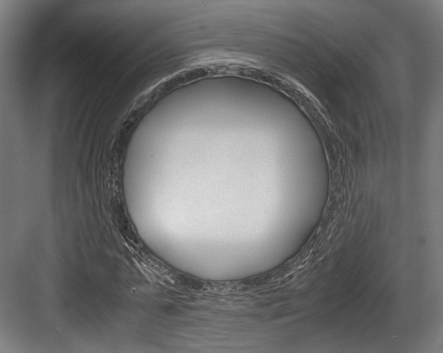 X0000084000775200702160755
