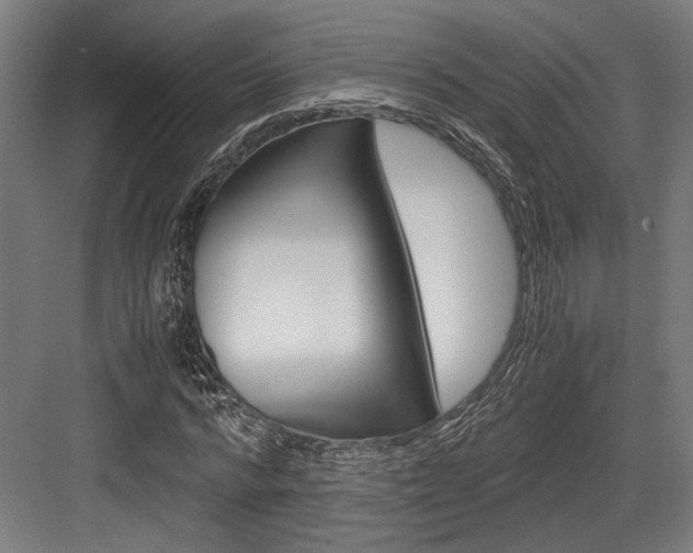 X0000084000776200702160755