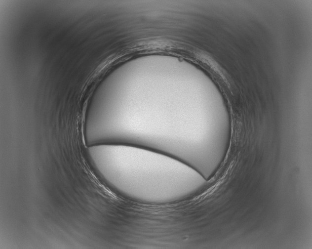 X0000084000778200702160755