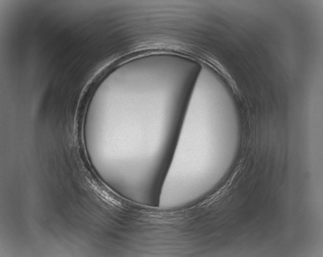 X0000084000780200702160755