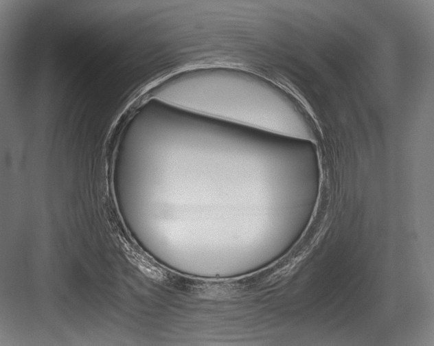 X0000084000781200702160755