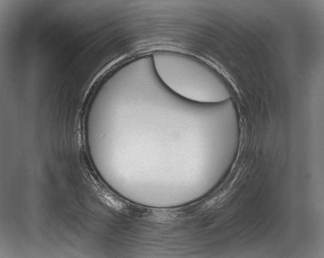 X0000084000782200702160755