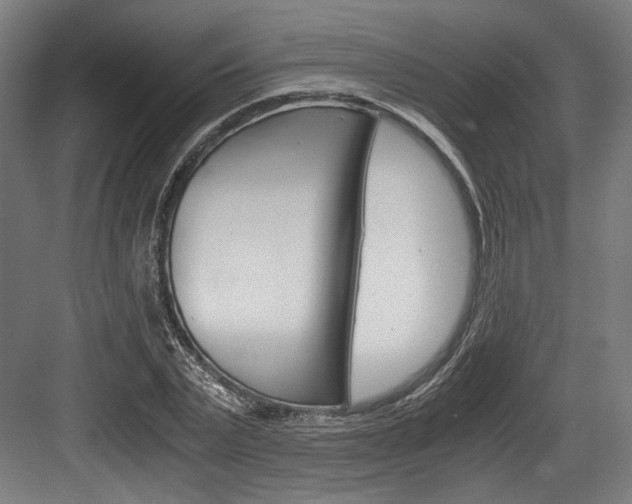 X0000084000783200702160755