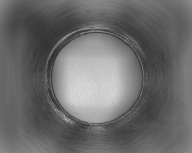 X0000084000784200702160755