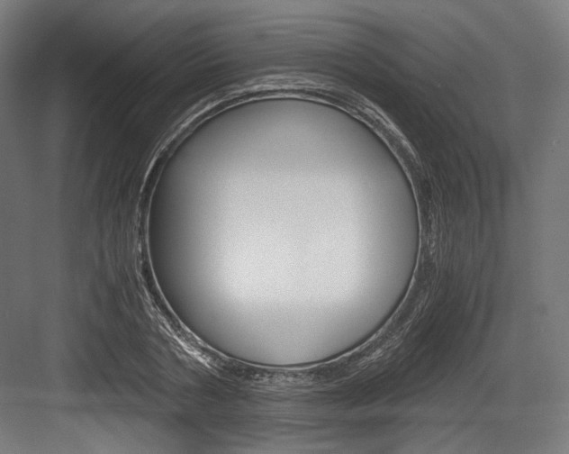 X0000084000786200702160755