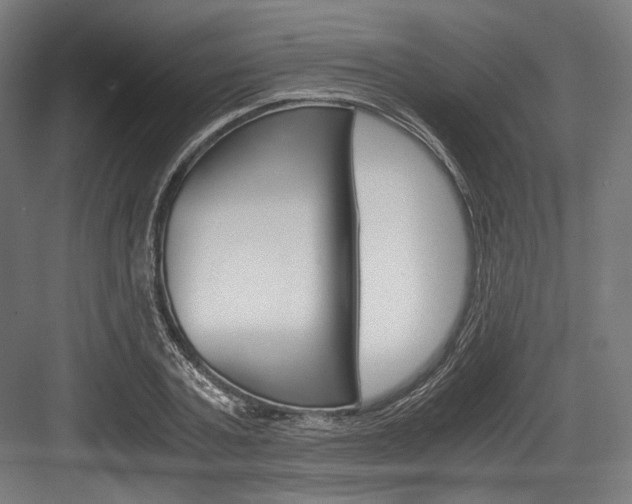 X0000084000787200702160755