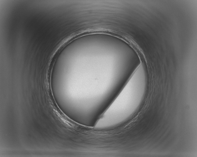 X0000084000789200702160755