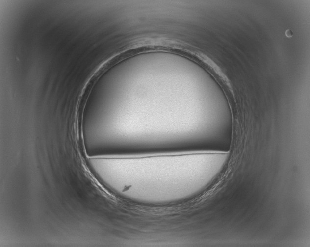 X0000084000791200702160755