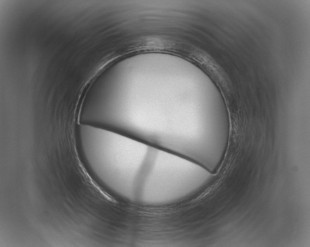 X0000084000794200702160755