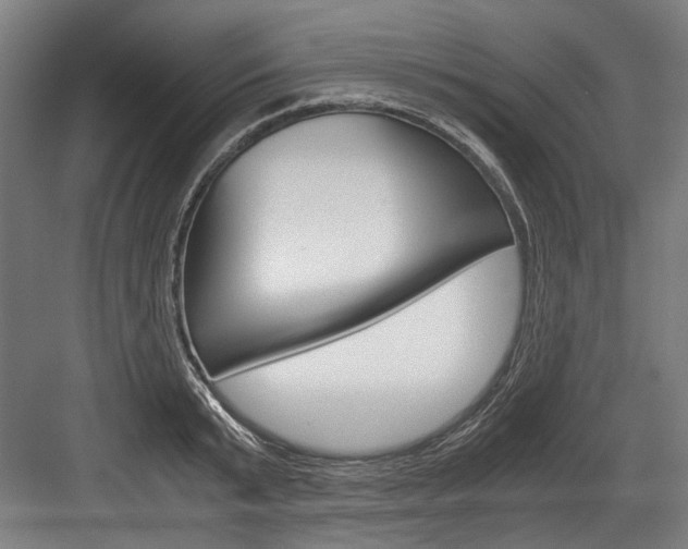 X0000084000799200702160755