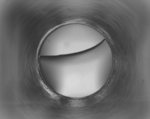 X0000084000800200702160755