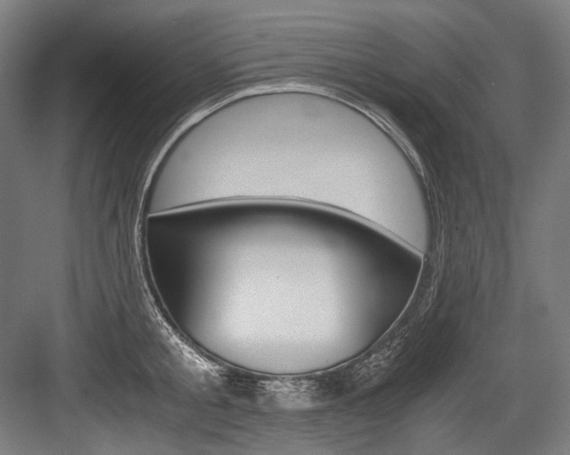 X0000084000805200702160755