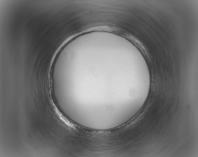 X0000084000808200702160755