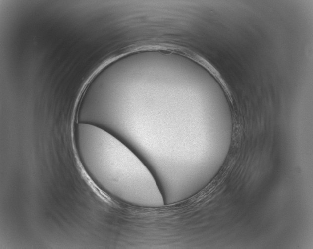 X0000084000811200702160755