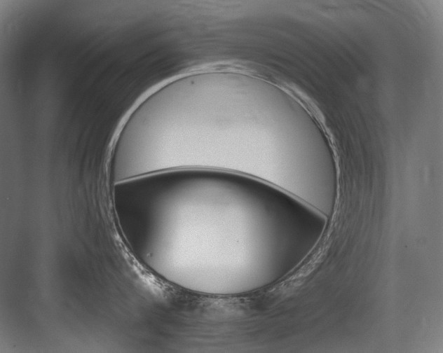 X0000084000816200702160755
