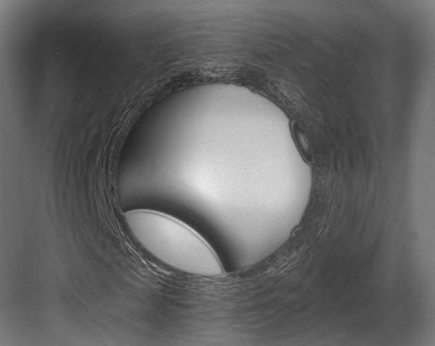 X0000084000817200702160754