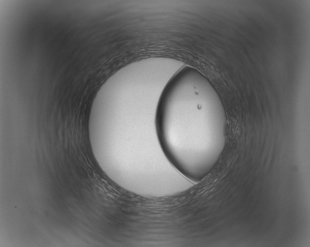 X0000084000818200702160754
