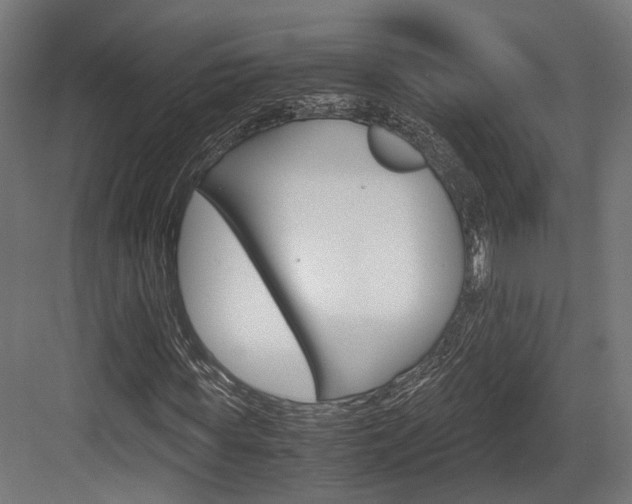 X0000084000819200702160754