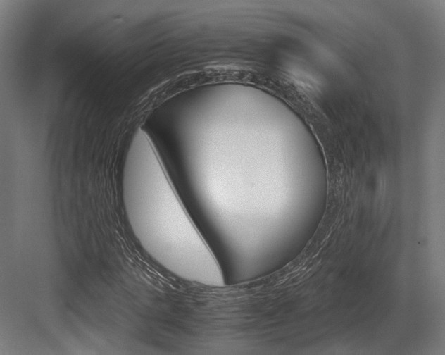X0000084000821200702160754
