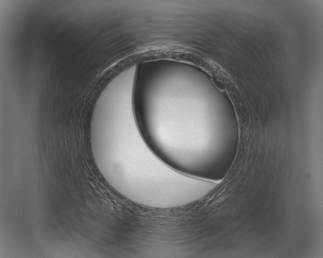 X0000084000822200702160754