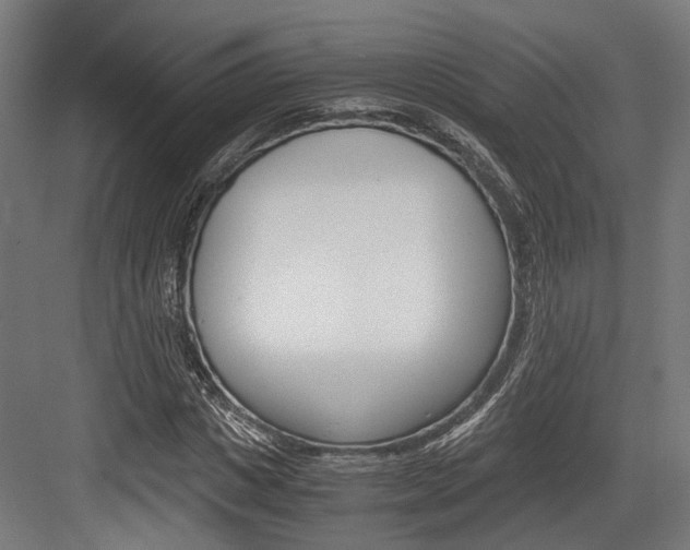 X0000084000825200702160754