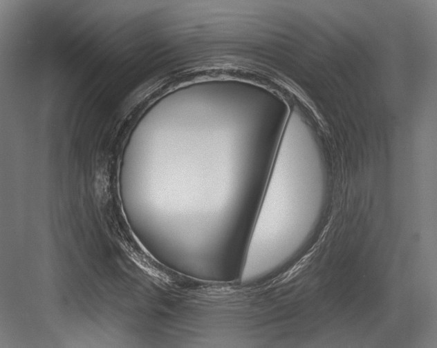 X0000084000826200702160754