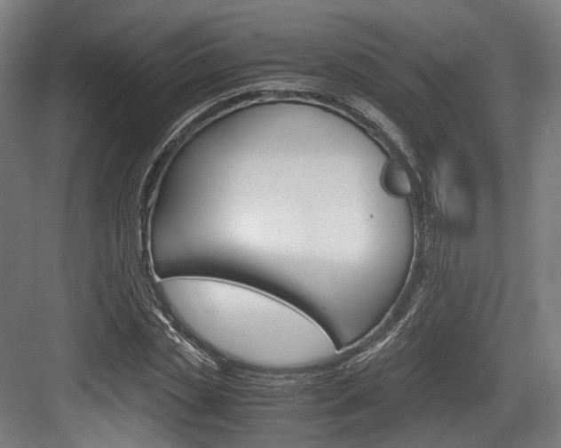 X0000084000829200702160754