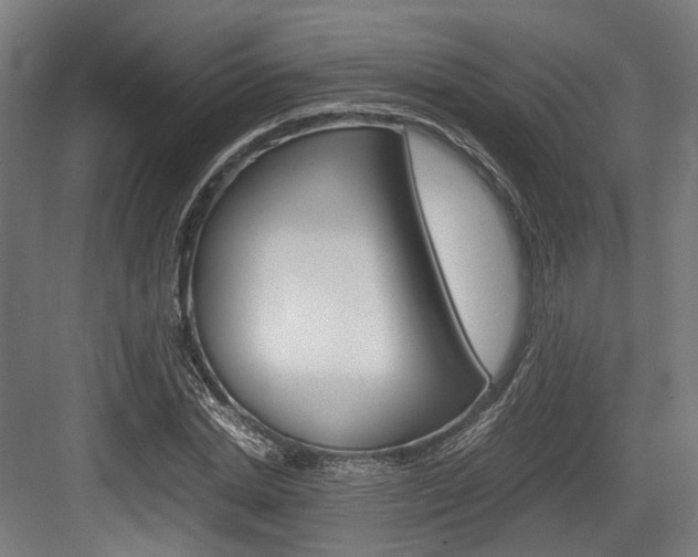 X0000084000830200702160754
