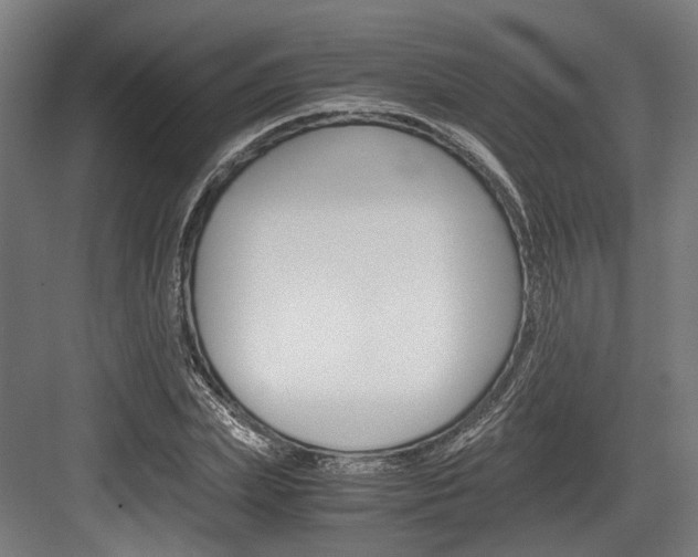 X0000084000831200702160754