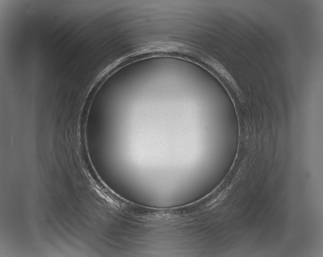 X0000084000834200702160754
