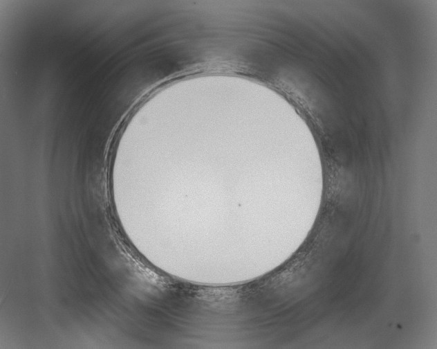 X0000084000836200702160754