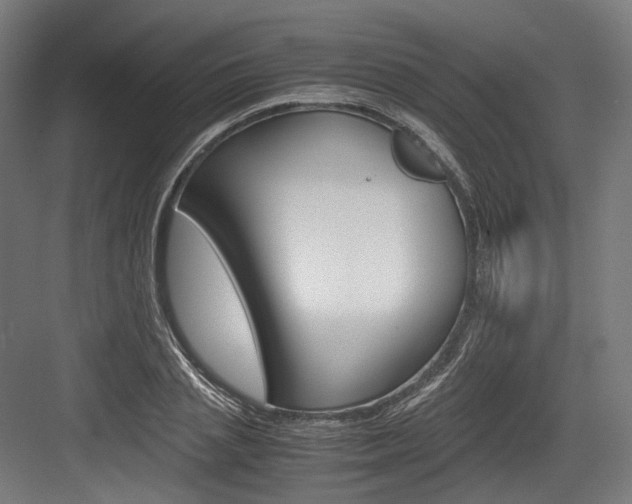 X0000084000837200702160754