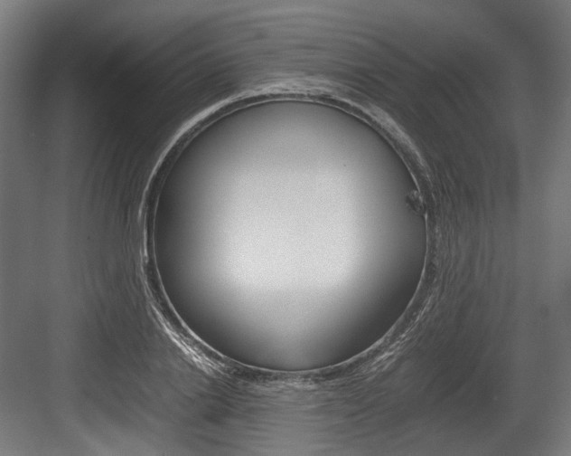 X0000084000838200702160754